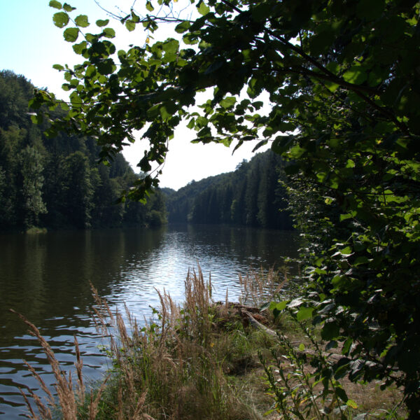 Badesee